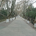 IMG_7490.jpg