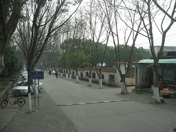 IMG_7492.jpg