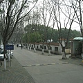 IMG_7492.jpg