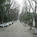 IMG_7493.jpg