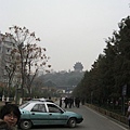 IMG_7640.jpg