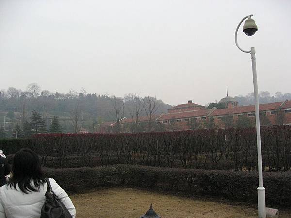 IMG_7641.jpg
