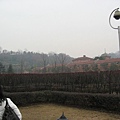 IMG_7641.jpg