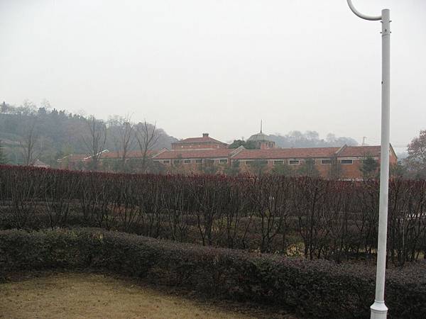 IMG_7642.jpg