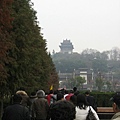 IMG_7643.jpg