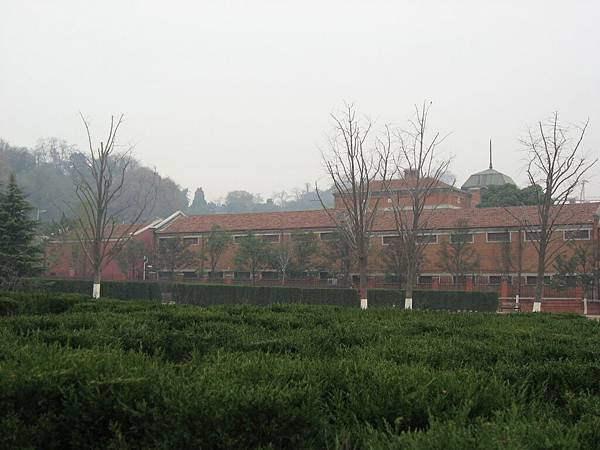 IMG_7646.jpg
