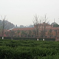 IMG_7646.jpg