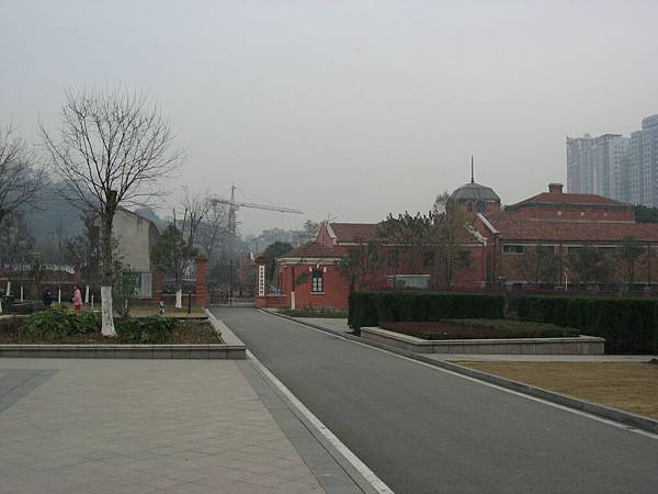 IMG_7647.jpg