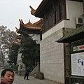 IMG_7649.jpg