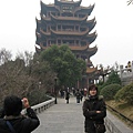 IMG_7677.jpg