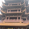 IMG_7681.jpg