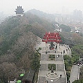 IMG_7709.jpg