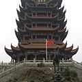 IMG_7724.jpg