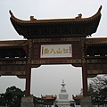 IMG_7729.jpg