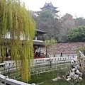 IMG_7736.jpg