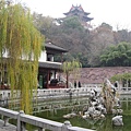 IMG_7738.jpg