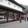 IMG_7739.jpg