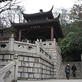 IMG_7741.jpg