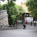 IMG_7744.jpg