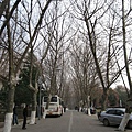 IMG_7757.jpg