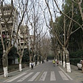 IMG_7762.jpg