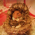 DSC01395.JPG