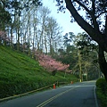 DSC01413.JPG