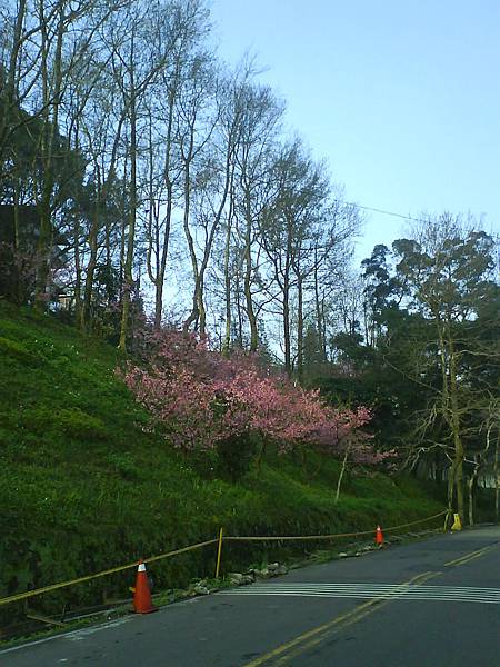 DSC01414.JPG