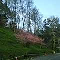 DSC01414.JPG