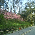 DSC01416.JPG
