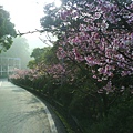 DSC01418.JPG