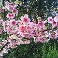 DSC01419.JPG