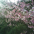 DSC01420.JPG