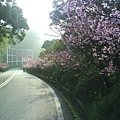 DSC01421.JPG