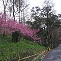 IMG_8010.JPG