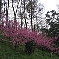 IMG_8011.JPG