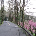 IMG_8012.JPG