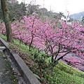IMG_8013.JPG
