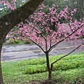 IMG_8014.JPG