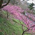 IMG_8018.JPG