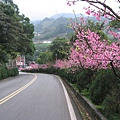 IMG_8020.JPG