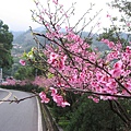 IMG_8021.JPG