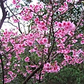 IMG_8023.JPG