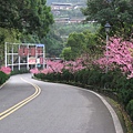 IMG_8024.JPG