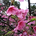 IMG_8025.JPG