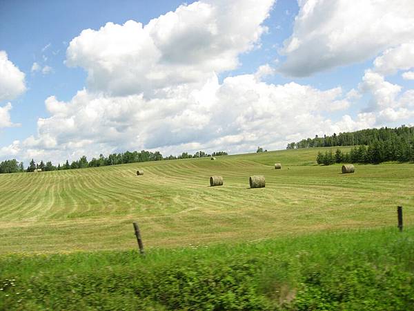 Image00034.jpg