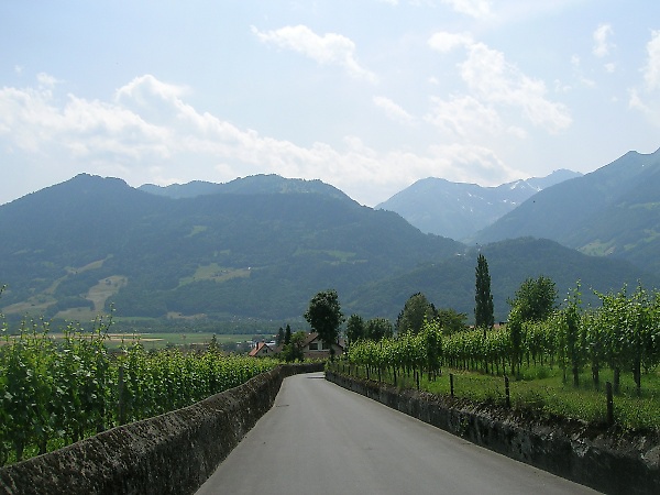 2008_0624_swiss_275.jpg