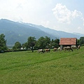 2008_0624_swiss_290.jpg