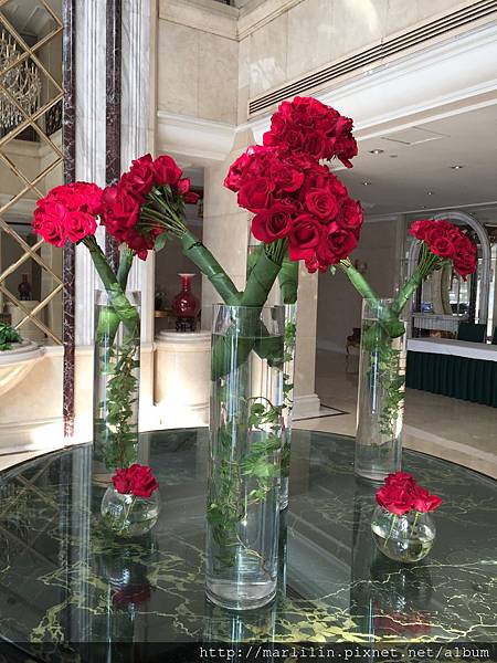 2015-09-14 09.28.38.jpg