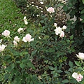 P1000102.JPG